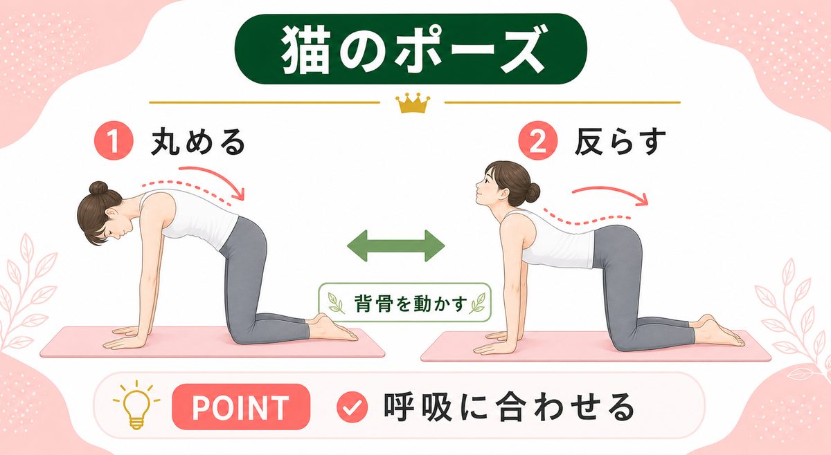 ぽっこりお腹をへこます体操は？下っ腹が痩せる簡単な運動法