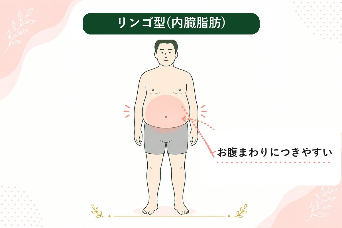 ぽっこりお腹は解消できる？男性･女性の下っ腹が出る原因