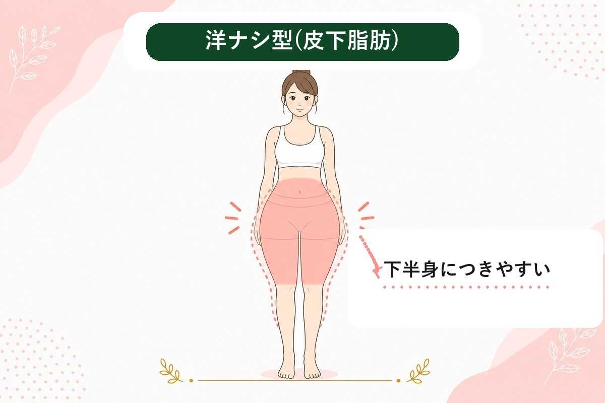 ぽっこりお腹は解消できる？男性･女性の下っ腹が出る原因