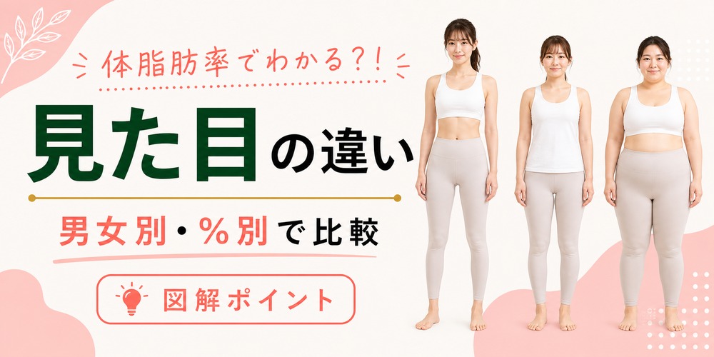 【図解】体脂肪率の見た目の違いを男女別・パーセント別に紹介