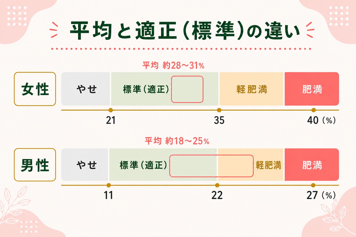 体脂肪率の平均値・適正値を男女別・年齢別に解説