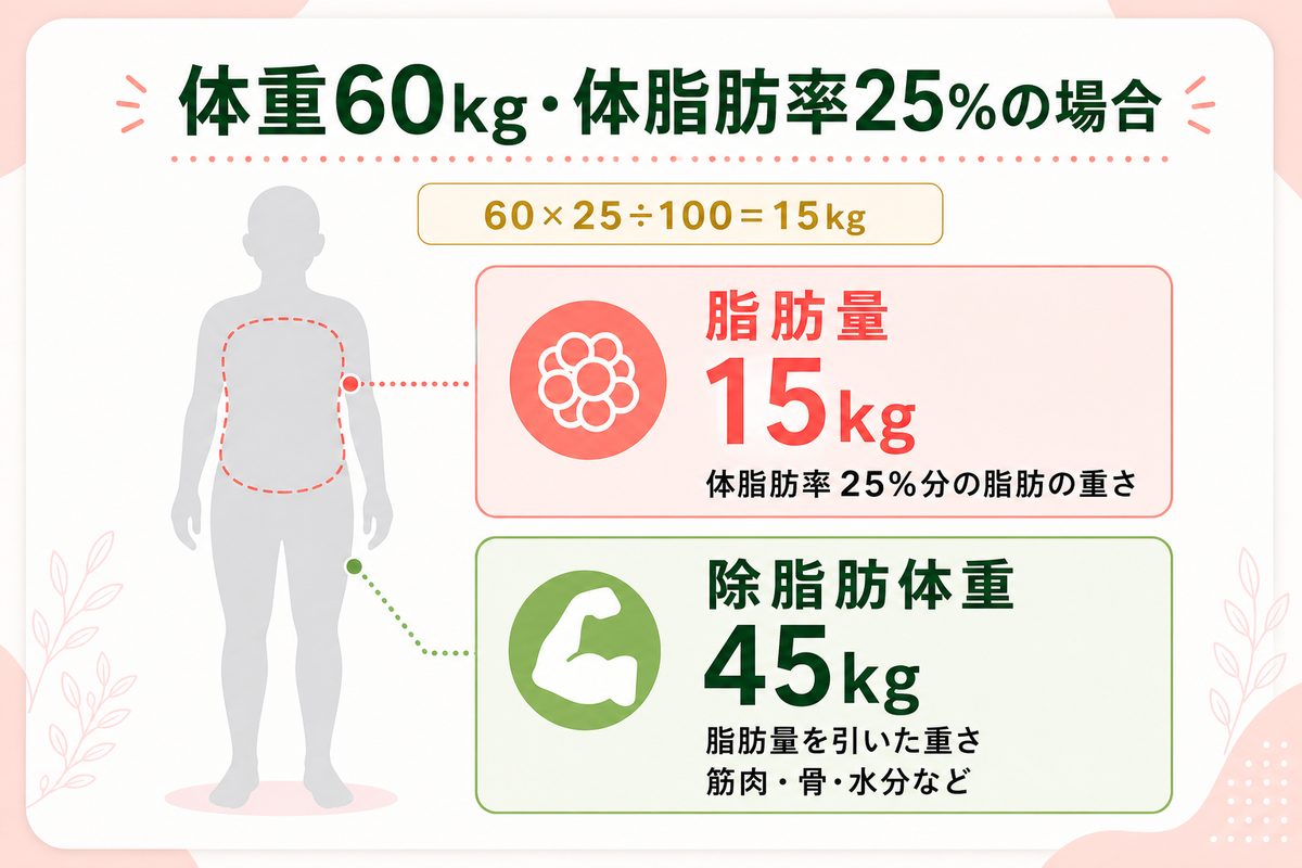 体脂肪率の正しい測り方と計算方法