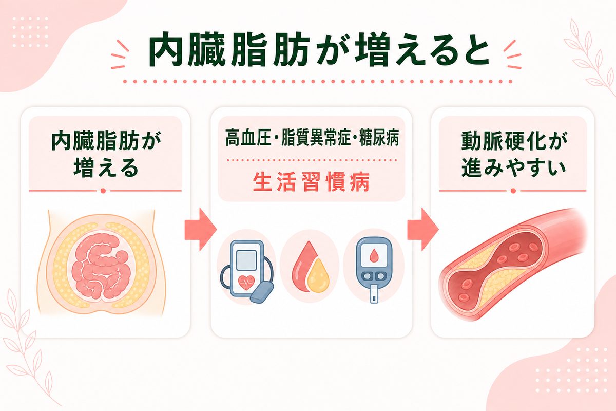 体脂肪率は何パーセントからやばい?高い・低いときの体への影響