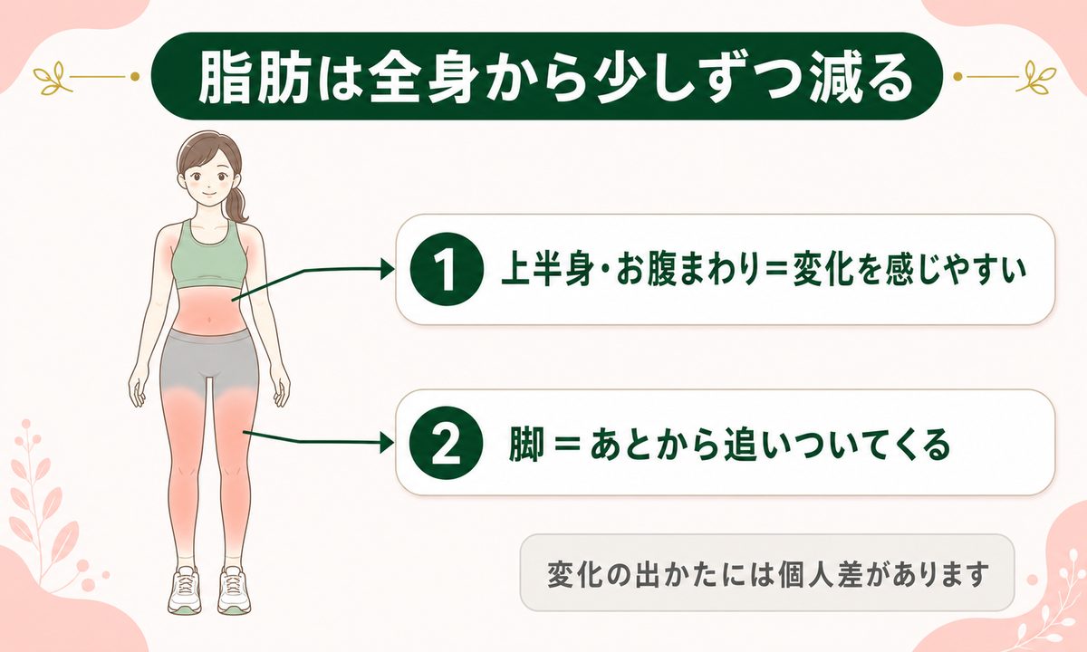 足痩せで部分痩せはできる？足が太く見える原因の前提