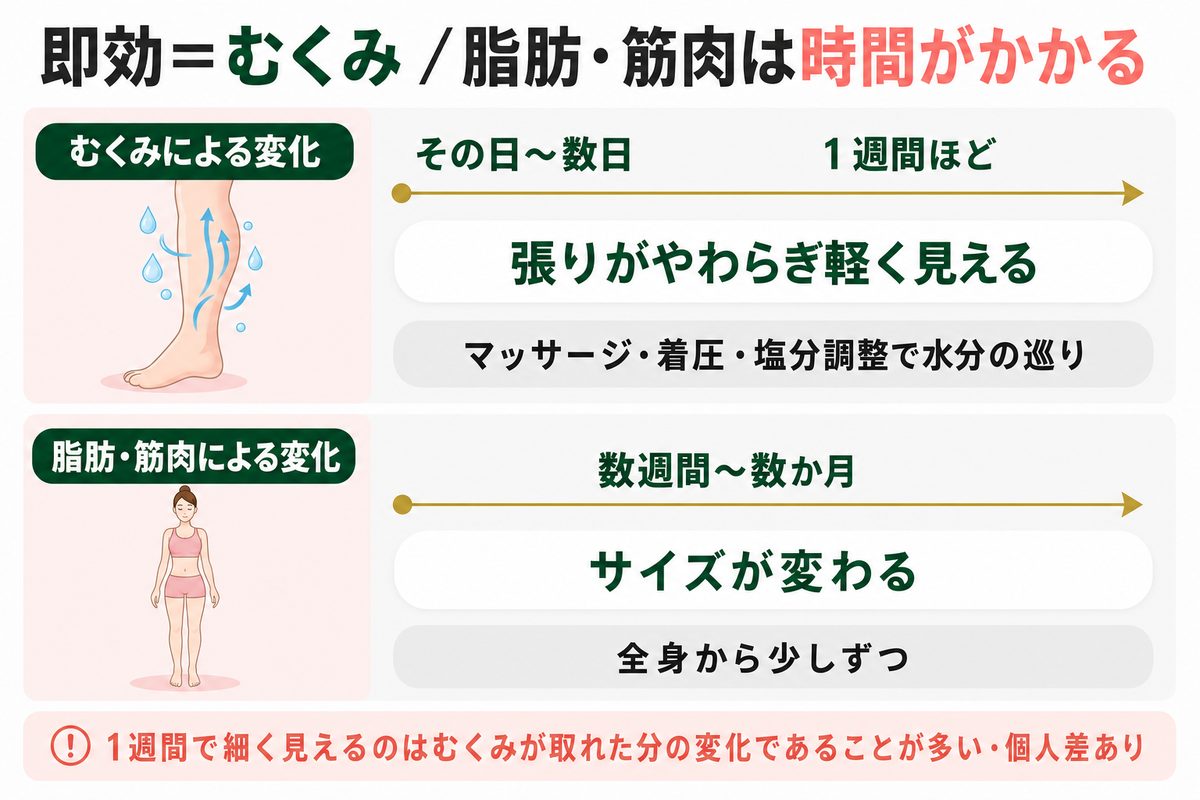 ふくらはぎ痩せは即効性がある？1週間で細くなるかの現実
