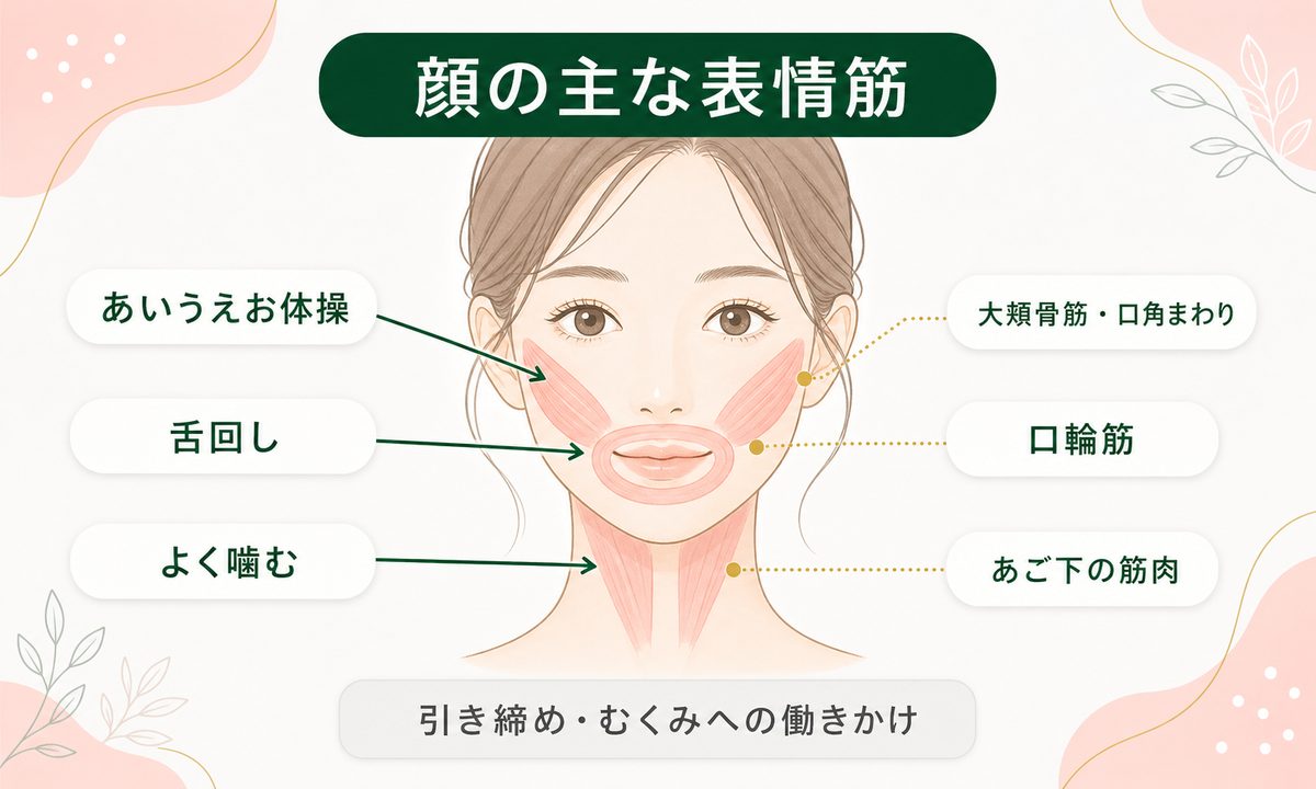 顔痩せに効く表情筋トレーニングとは?