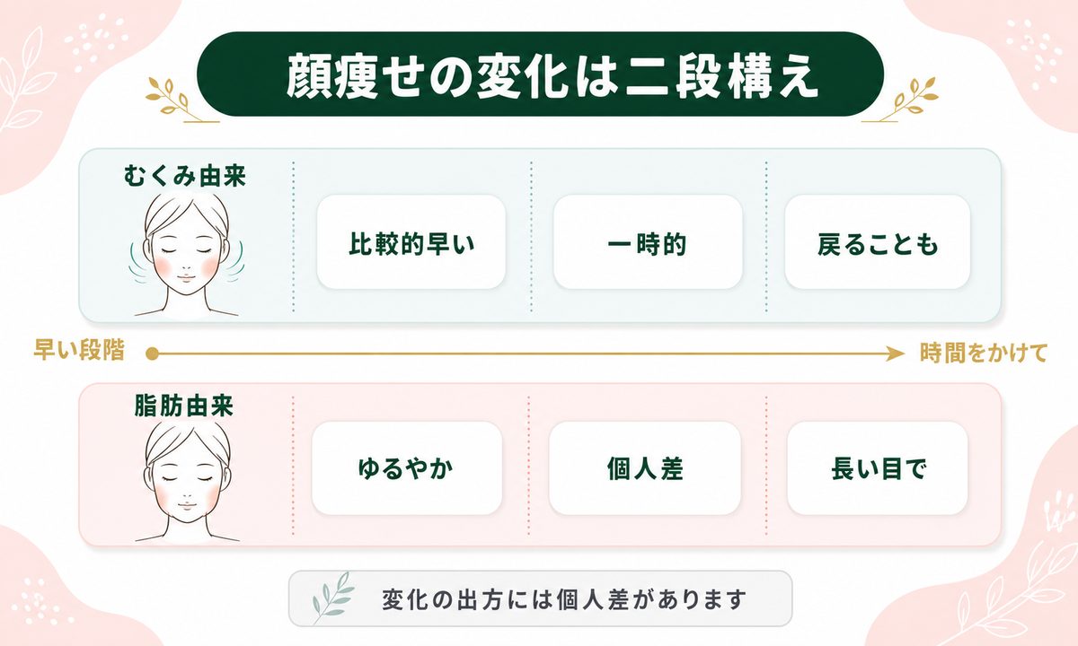 顔痩せは何日で変わる?即効とむくみ・脂肪の落ち方
