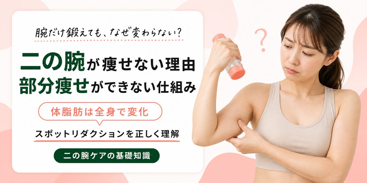 二の腕が痩せない理由と部分痩せ(スポットリダクション)ができない仕組み