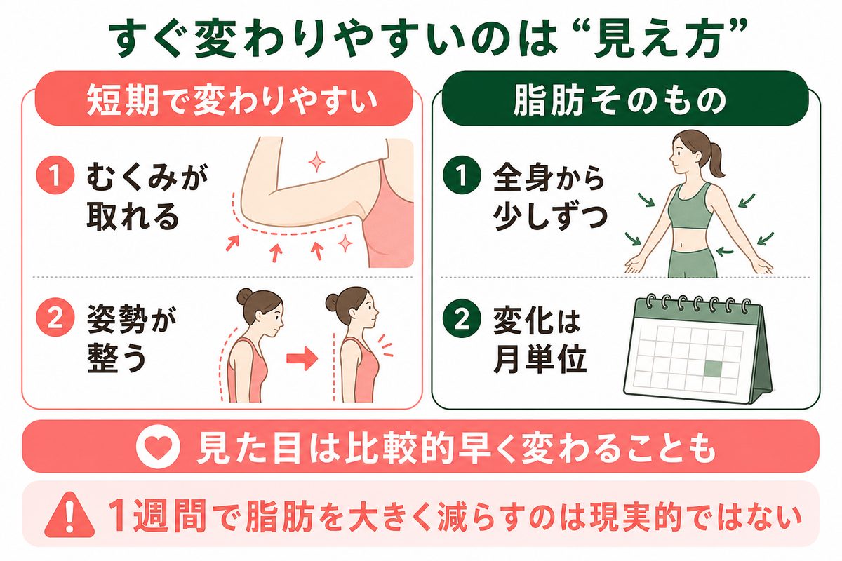 二の腕痩せは即効で叶う？むくみや姿勢で見た目は変わりやすい