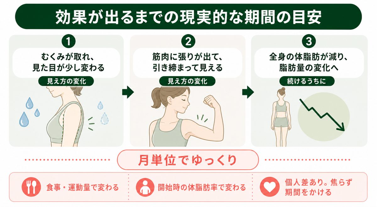 二の腕痩せの効果が出るまでの現実的な期間の目安