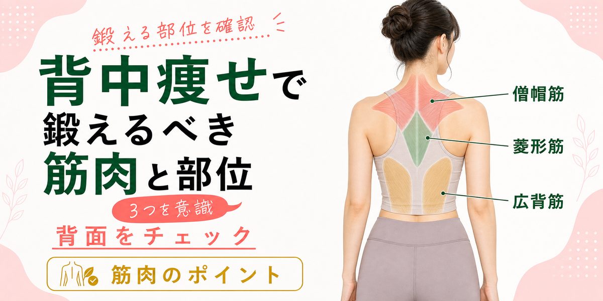 背中痩せで鍛えるべき筋肉と部位