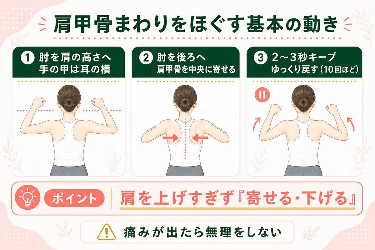 肩甲骨はがしを中心にした背中痩せのストレッチ