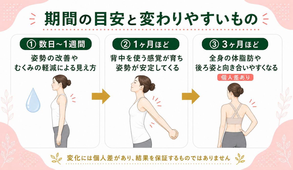 背中痩せはどれくらいの期間で変わる？現実的な目安