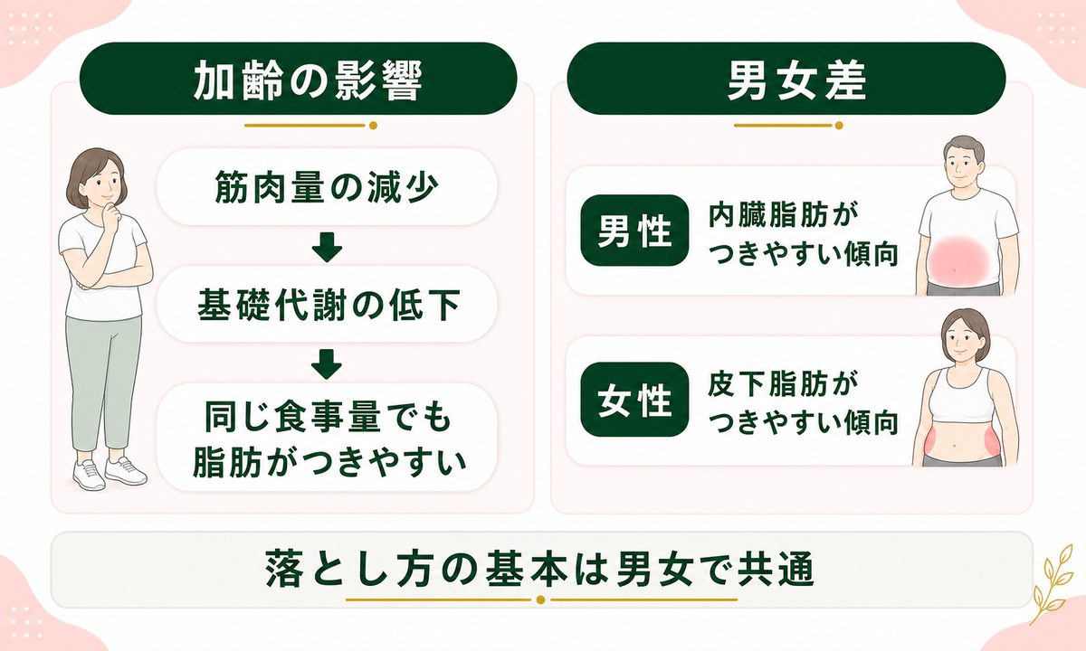 50代・40代で浮き輪肉が落ちにくいのは？年代差と男女差