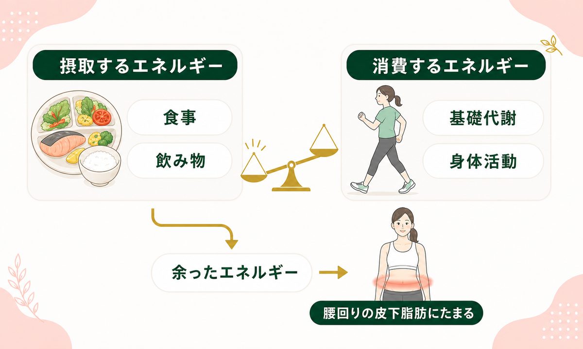 浮き輪肉がつく原因と腰回りに脂肪がつく仕組み