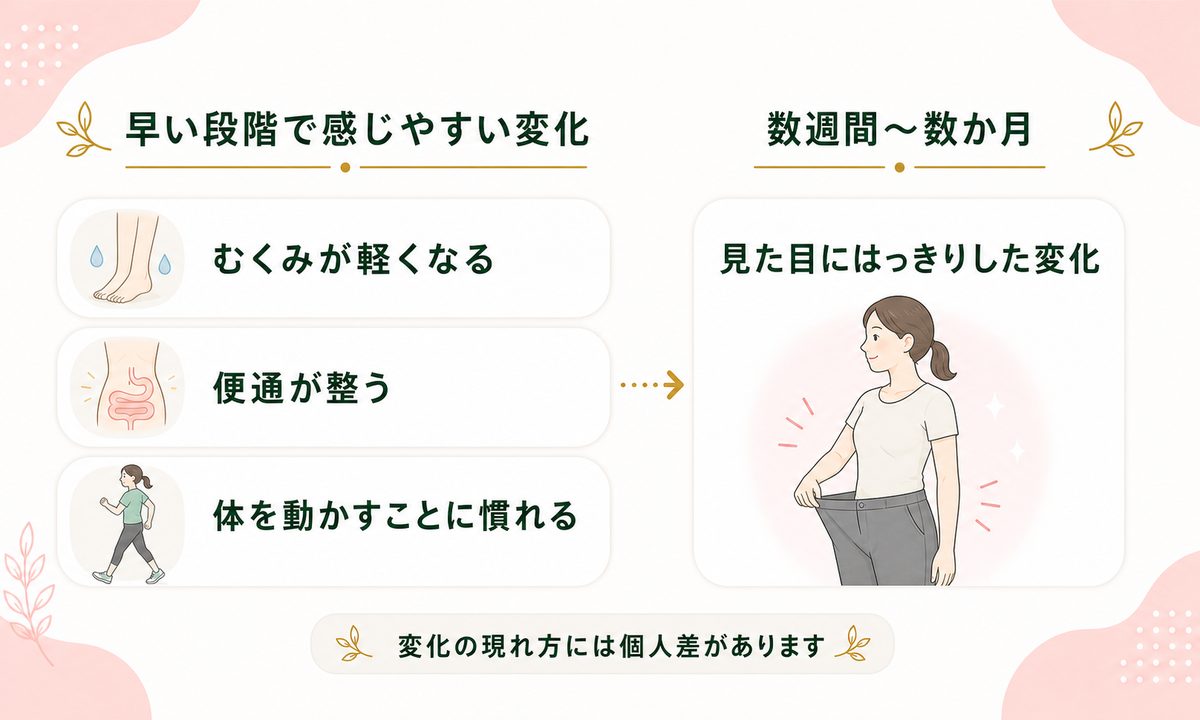 浮き輪肉が落ちない理由と落とすのにかかる現実的な期間