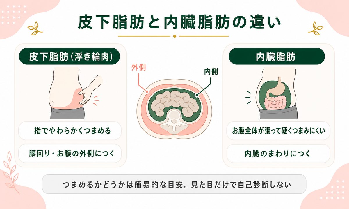 浮き輪肉(腰回りの肉)の正体はつまめる皮下脂肪