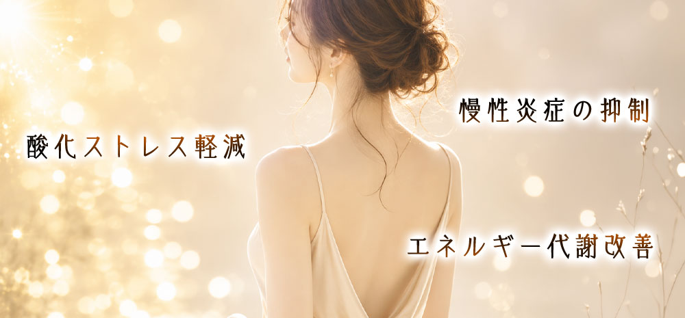 エイジングケアサポートのイメージ画像
