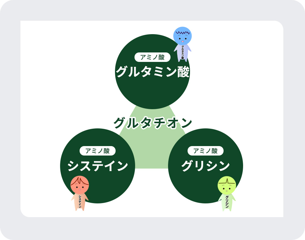 グルタチオンの成分構成の図説