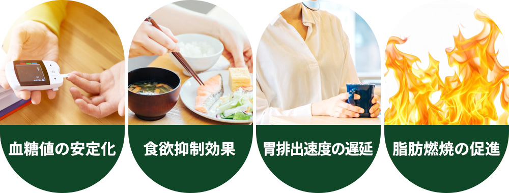 マンジャロの作用機序一覧