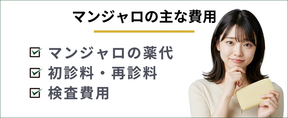 マンジャロの主な費用一覧