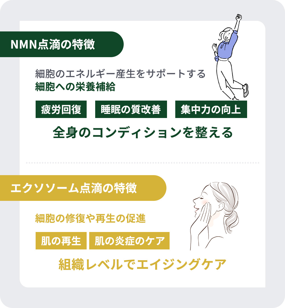 NMN点滴とエクソソーム点滴の特徴まとめ