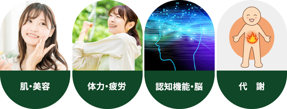 NMN点滴の効果一覧