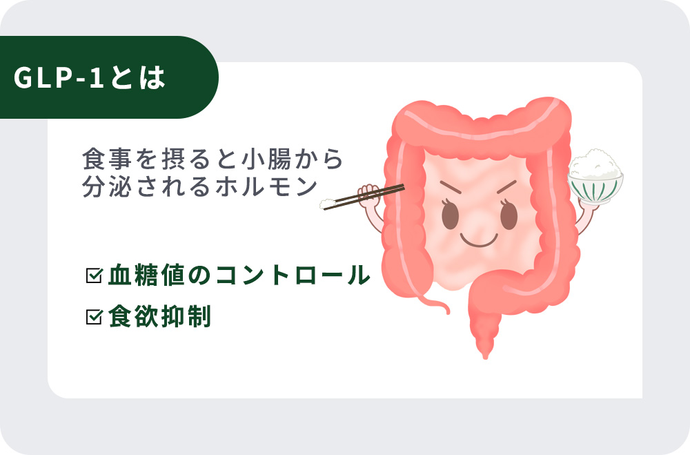 GLP-1の特徴紹介画像