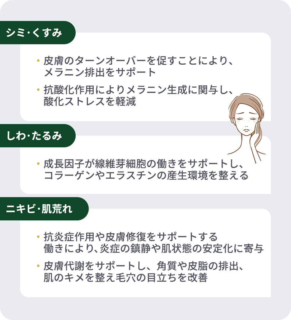 シミ･しわ･ニキビ･毛穴など肌の悩みへの作用まとめ一覧