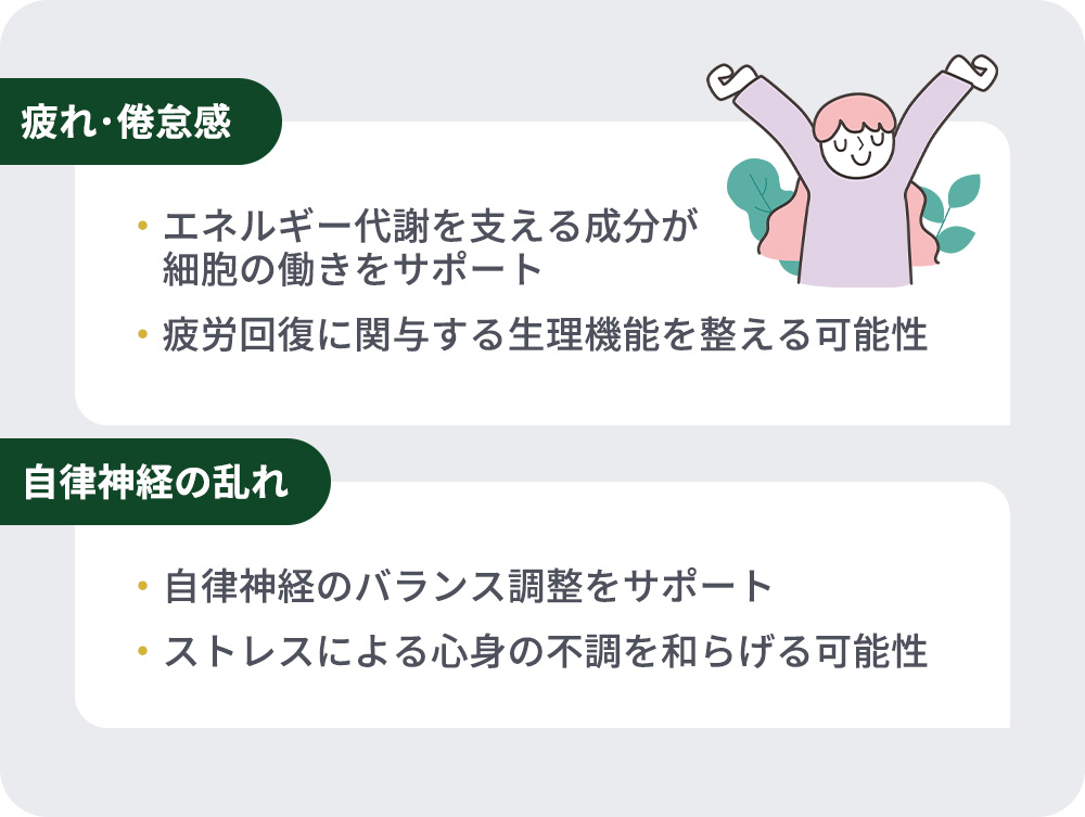 疲れ･自律神経の乱れの作用まとめ一覧