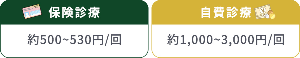 プラセンタ注射の保険診療・自由診療の主な料金一覧