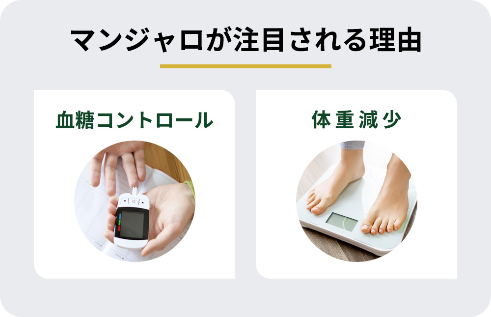 マンジャロが注目されるのは、血糖コントロールと体重減少効果