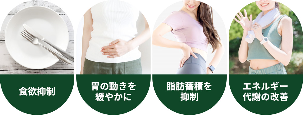 マンジャロで痩せるメカニズム一覧イメージ画像