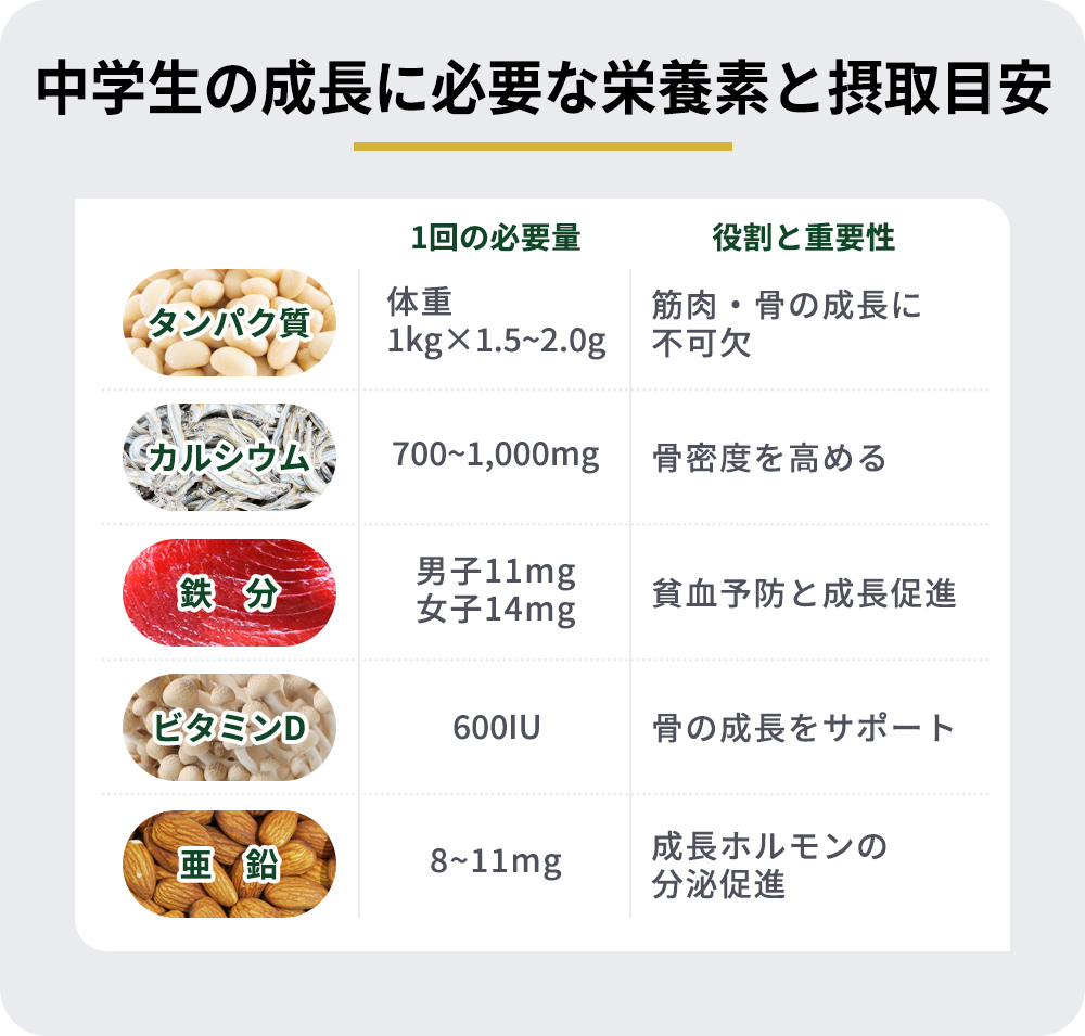 中学生の成長に必要な栄養素と摂取目安の表