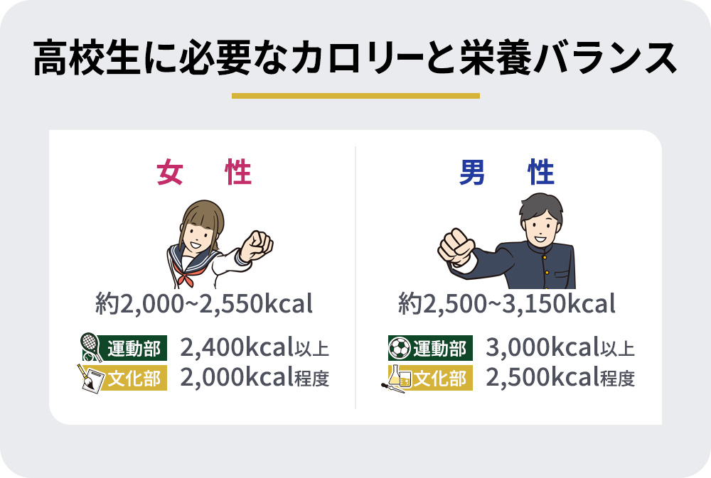 男女別・運動部文化部別の高校生に必要なカロリーと栄養バランス一覧